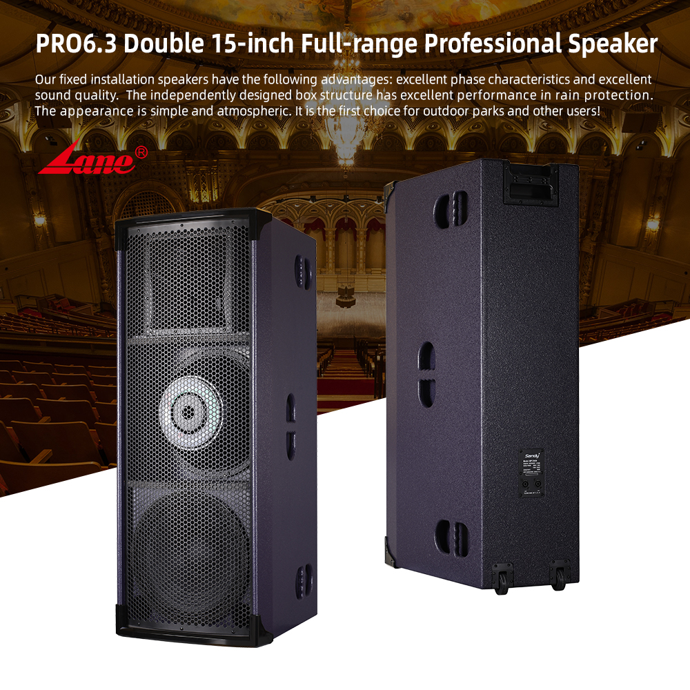 Lane PRO6.3 New Arrival Black  - Home Bar And Theater reseña y precio